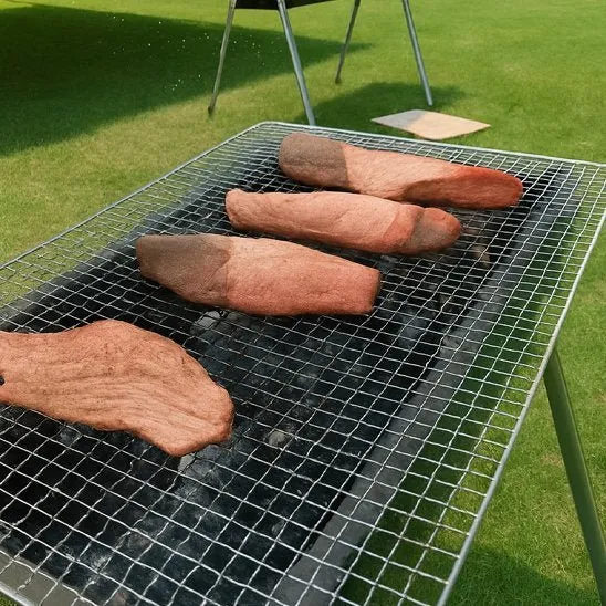 Grille pour barbecue cuisson..