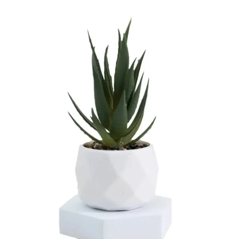 Plantes artificielles,