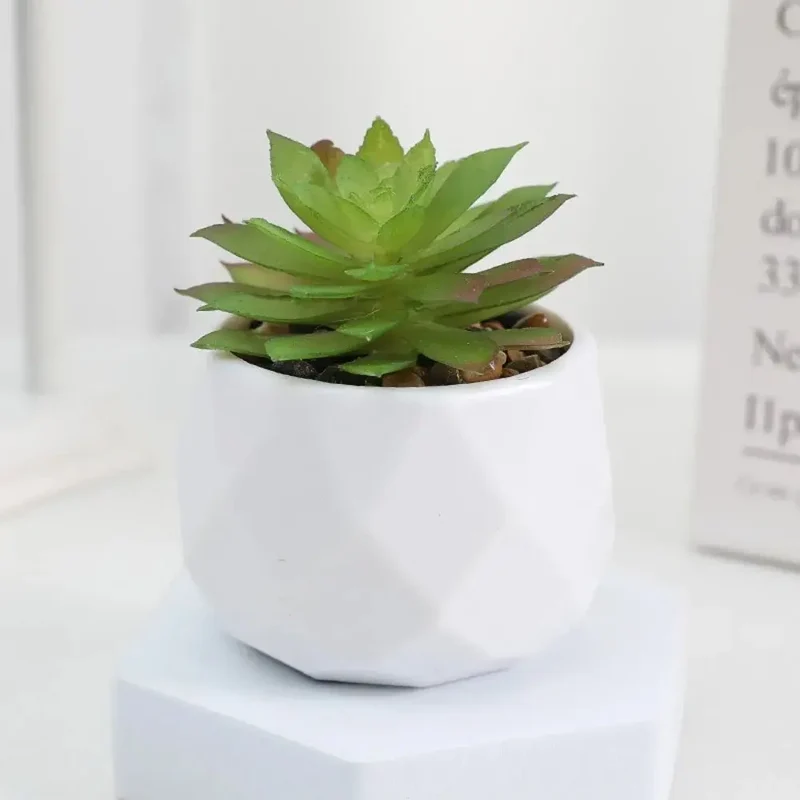 Plantes artificielles,