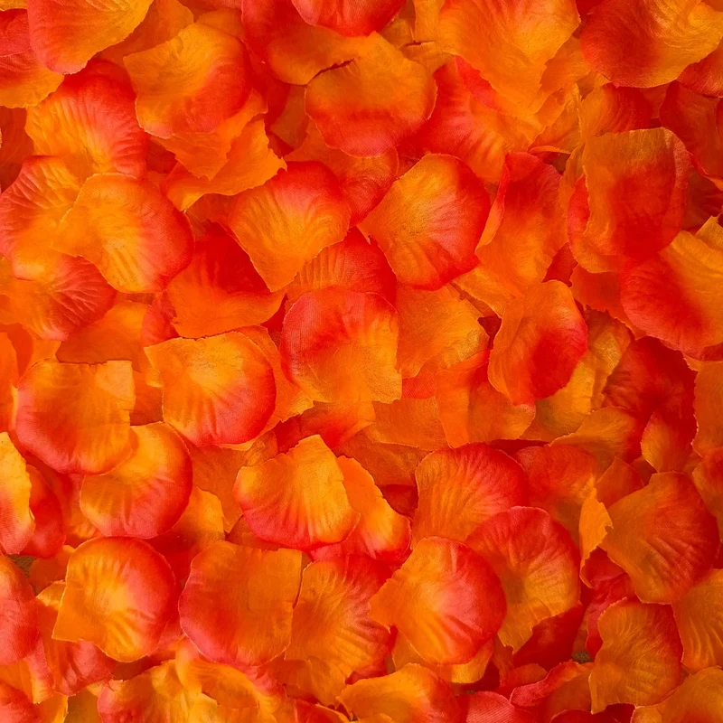 Pétales de Rose artificiels colorés