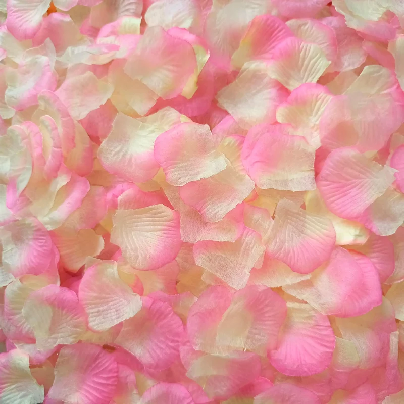 Pétales de Rose artificiels colorés