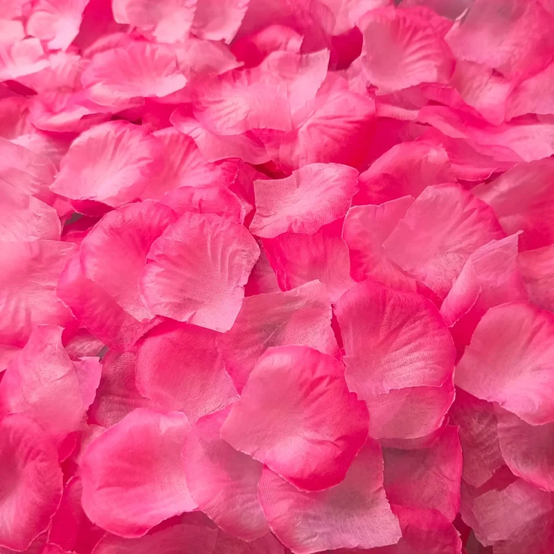 Pétales de Rose artificiels colorés