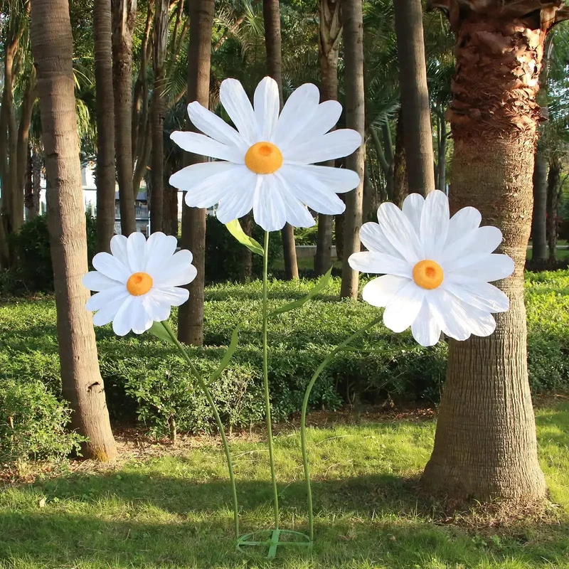 Grands fleurs de marguerite
