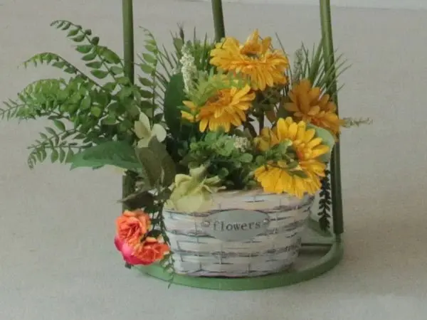 Grands fleurs de marguerite