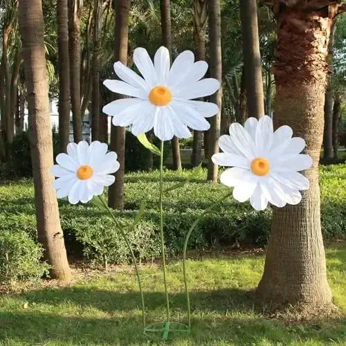 Grands fleurs de marguerite