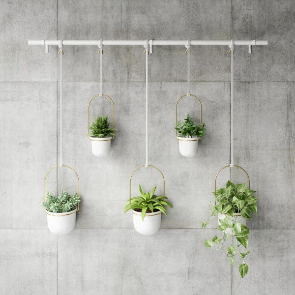Jardinière d'intérieur suspendue - Triflora