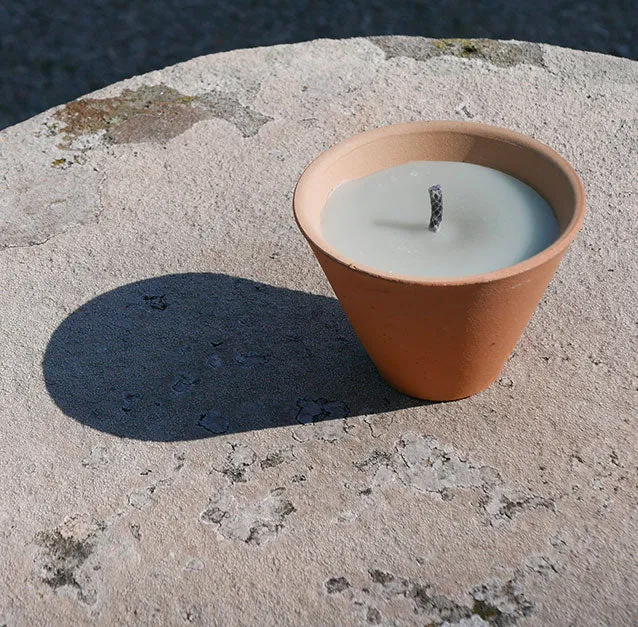 Pot des Landes à la citronnelle