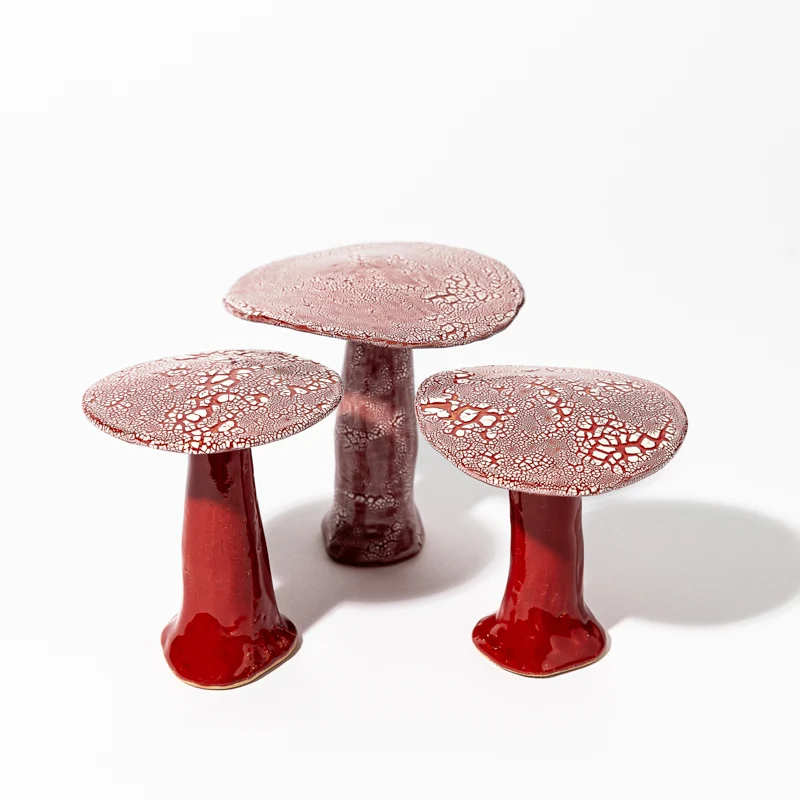 Ensemble de Champignons Galuchats