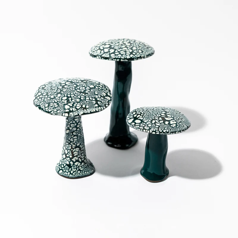 Ensemble de Champignons Galuchats