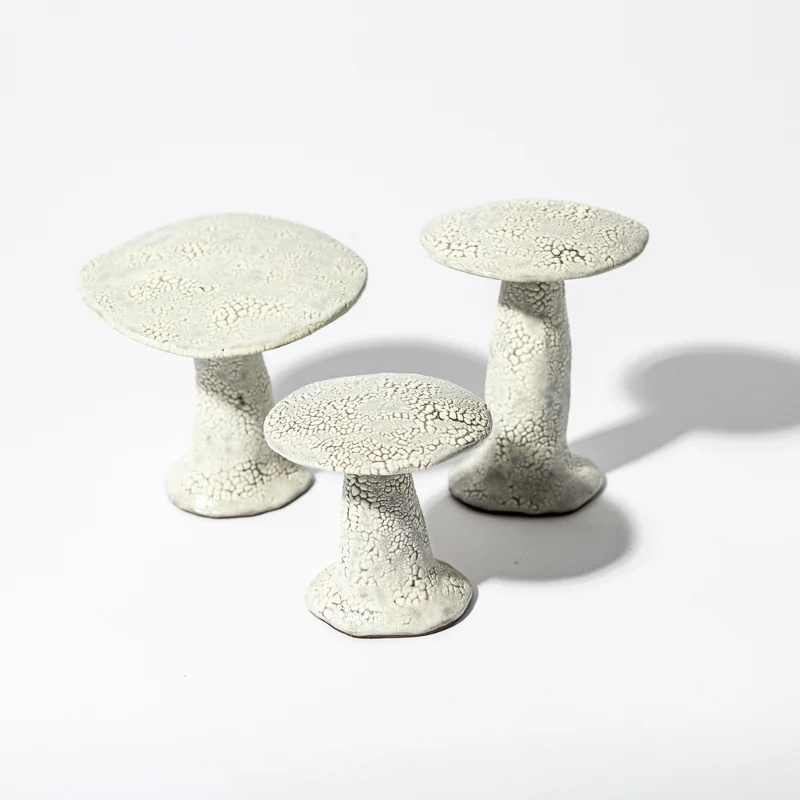Ensemble de Champignons Galuchats