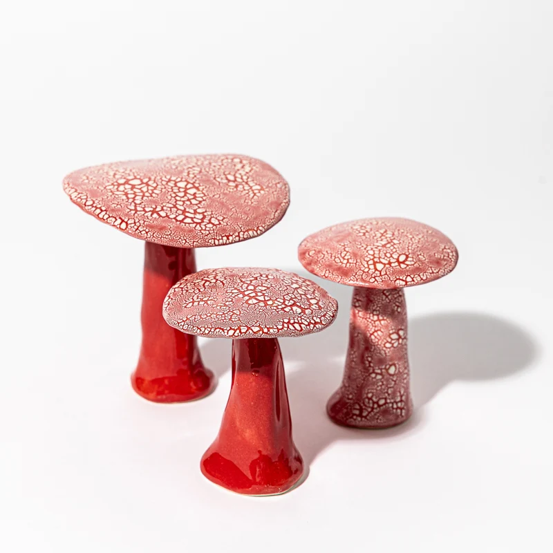 Ensemble de Champignons Galuchats