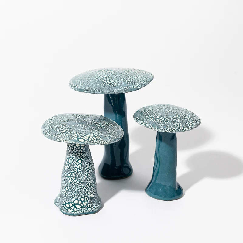 Ensemble de Champignons Galuchats
