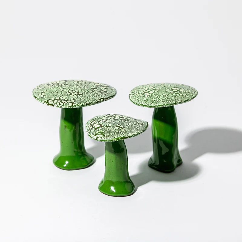 Ensemble de Champignons Galuchats