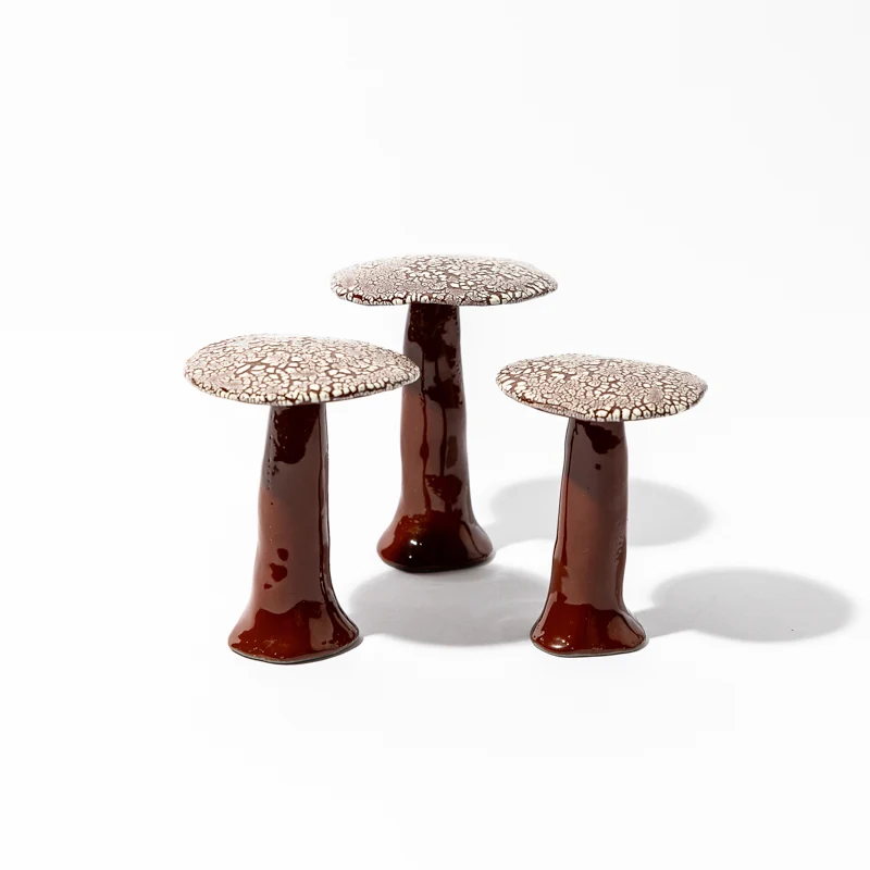 Ensemble de Champignons Galuchats