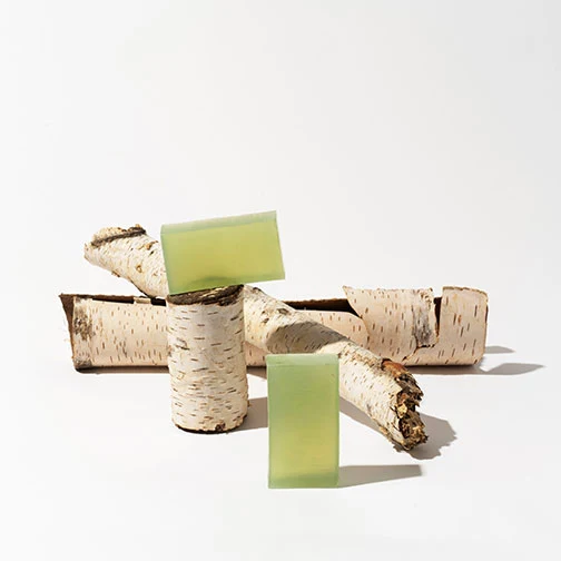 Savon au bois de Bouleau