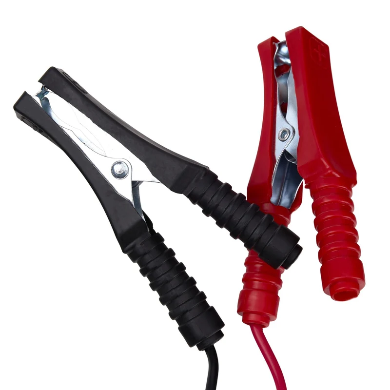 Chargeur de batterie voiture 12/24V 30A