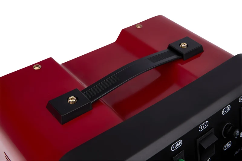 Chargeur de batterie voiture 12/24V 30A