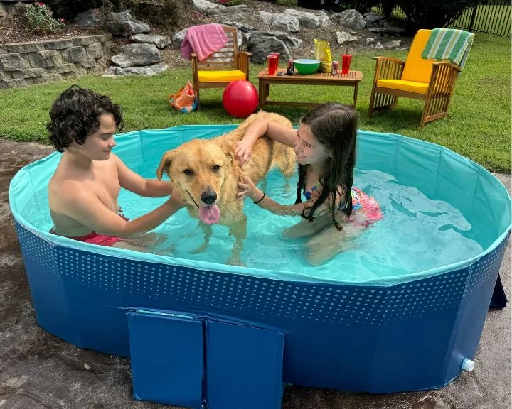 Piscine pliante taille M