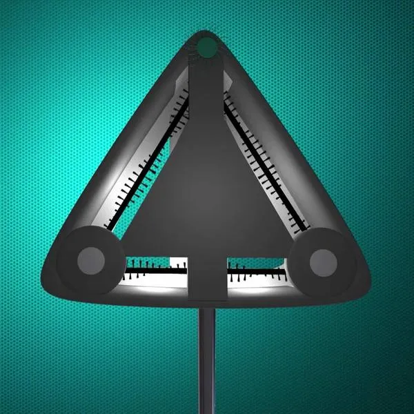 Balai éléctrique Livington Deeper Zippi Sweeper