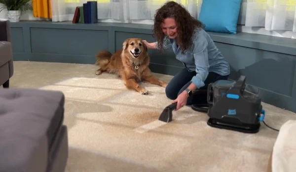 Spot Clean - Power 1000
