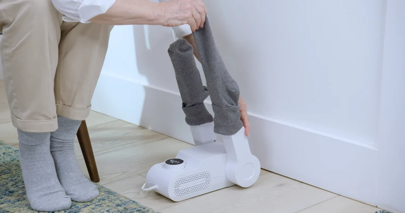 Shoe dryer