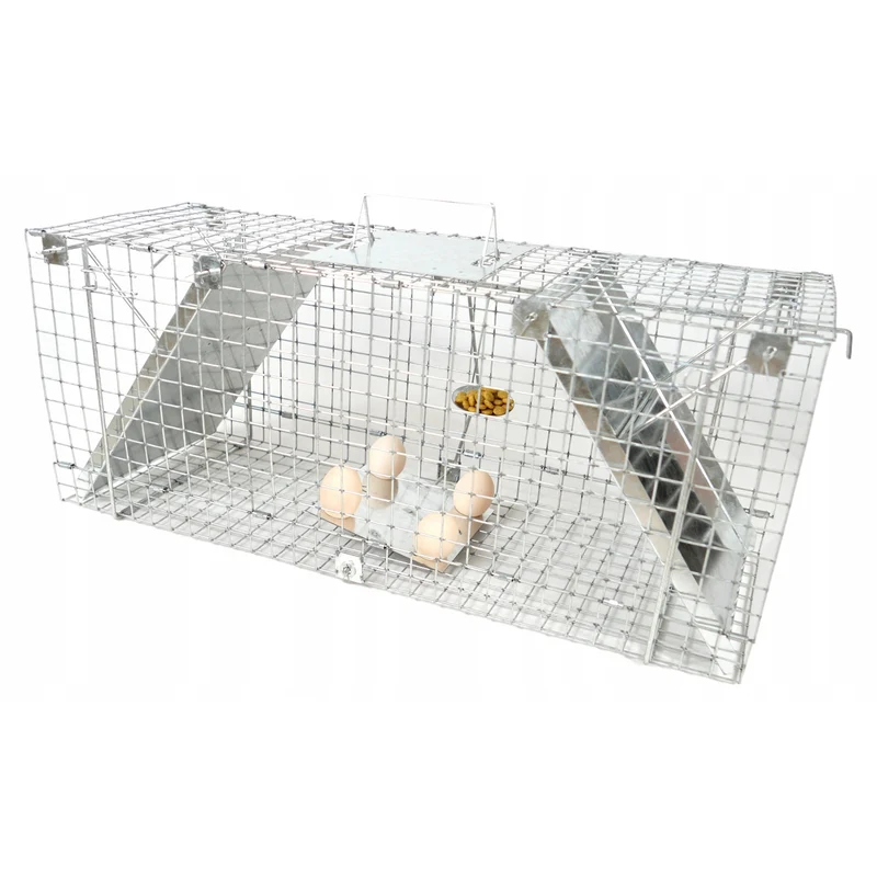 Live trap for martens, rats, mice, minks, and weasels, Viano P1