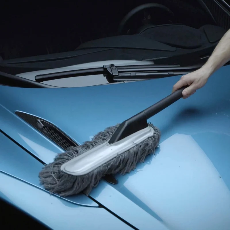 CAR DUSTER Plumeau antipoussière grand / petit / set