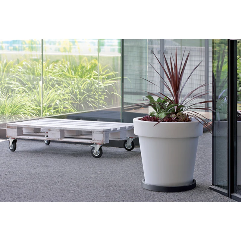 Prosperplast Mobile Saucer Round IPRR300-S433 Under Flower Pot Platform with Saucers