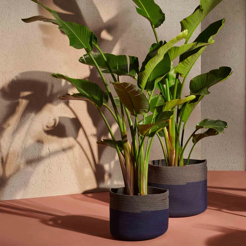 Outdoor Baskets PODOR Set of 2 by Cassina