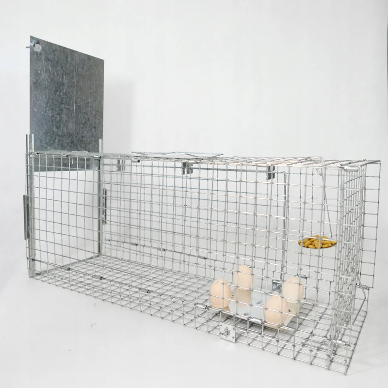 Live trap for martens, rats, mice, minks, and weasels, Viano P2
