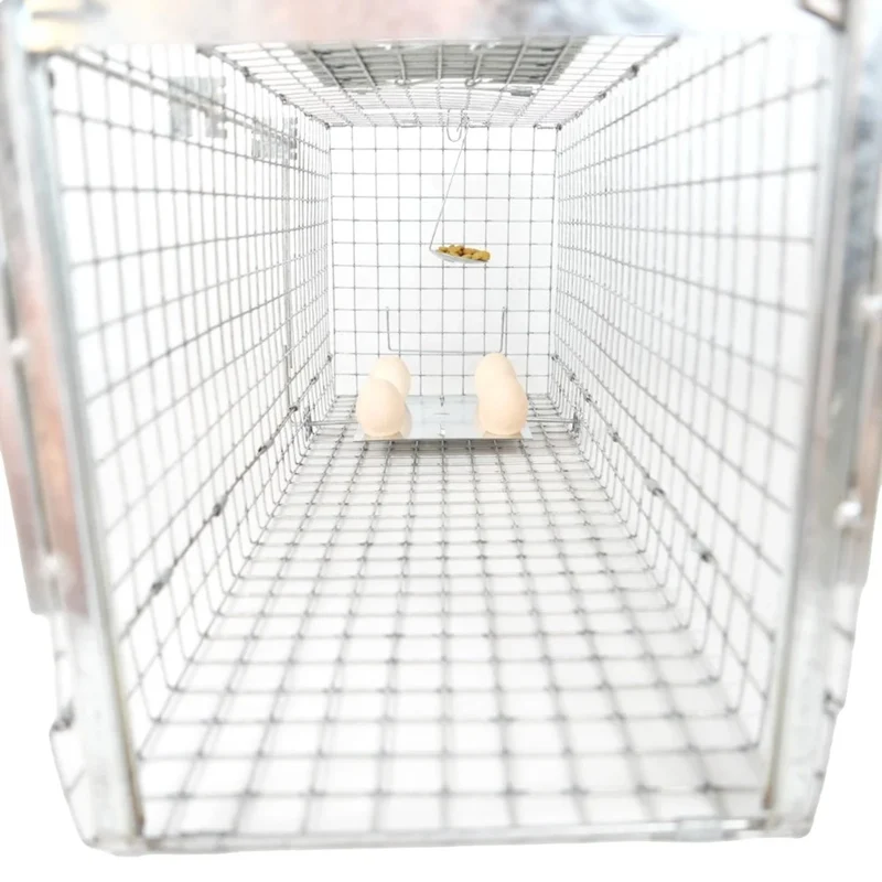 Live trap for martens, rats, mice, minks, and weasels, Viano P2