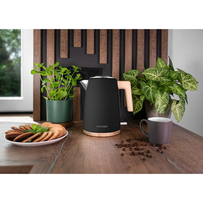 Concept ELWOOD electric kettle, stainless steel, 1.7L, water level indicator, RK3316
