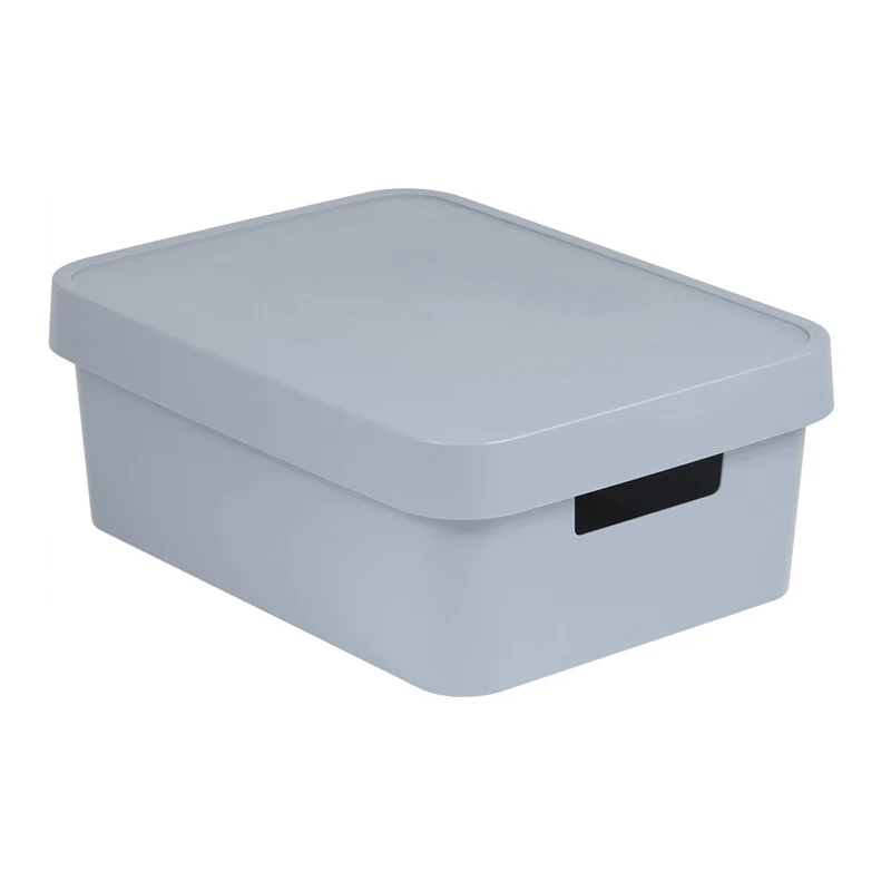 Storage box with cover Curver Infinity 11L gray