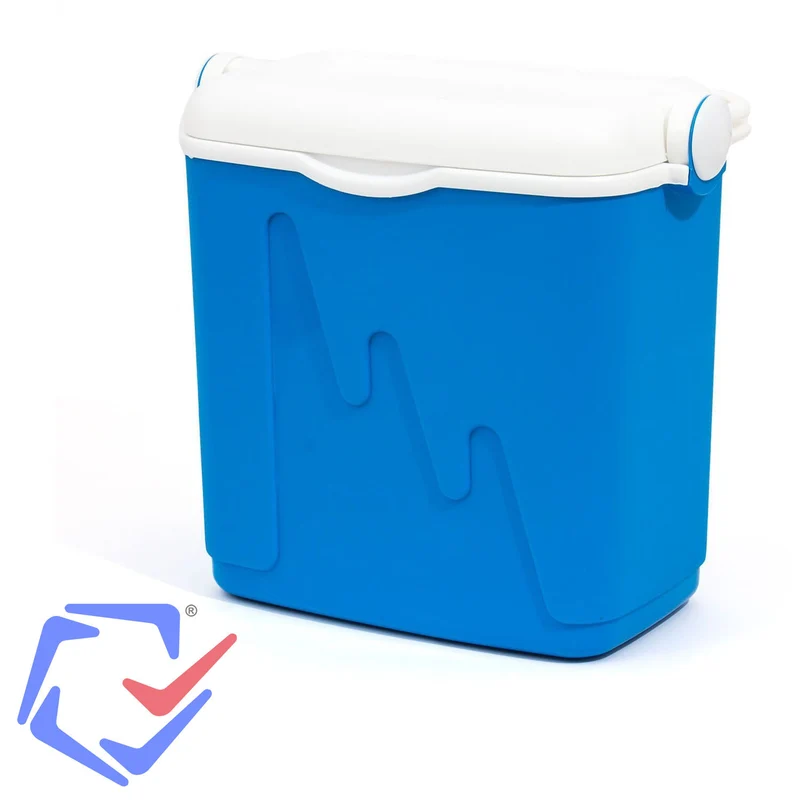 Curver 20L Portable Refrigerator Tourist Fridge Camping Food Storage + 2 Ice Pack 2 x 400g Handle