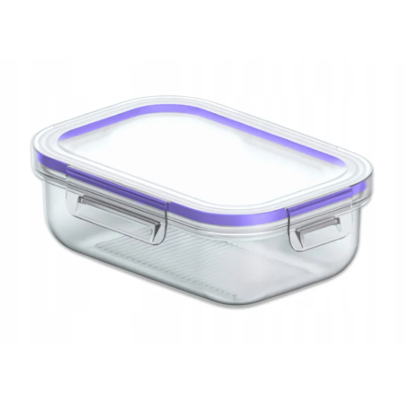 Practic food container, transparent, capacity 1l, 20x14x7 cm, 10084200