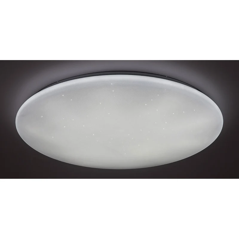 Rabalux Danny LED ceiling lamp 5446 white 60W adjustable light color