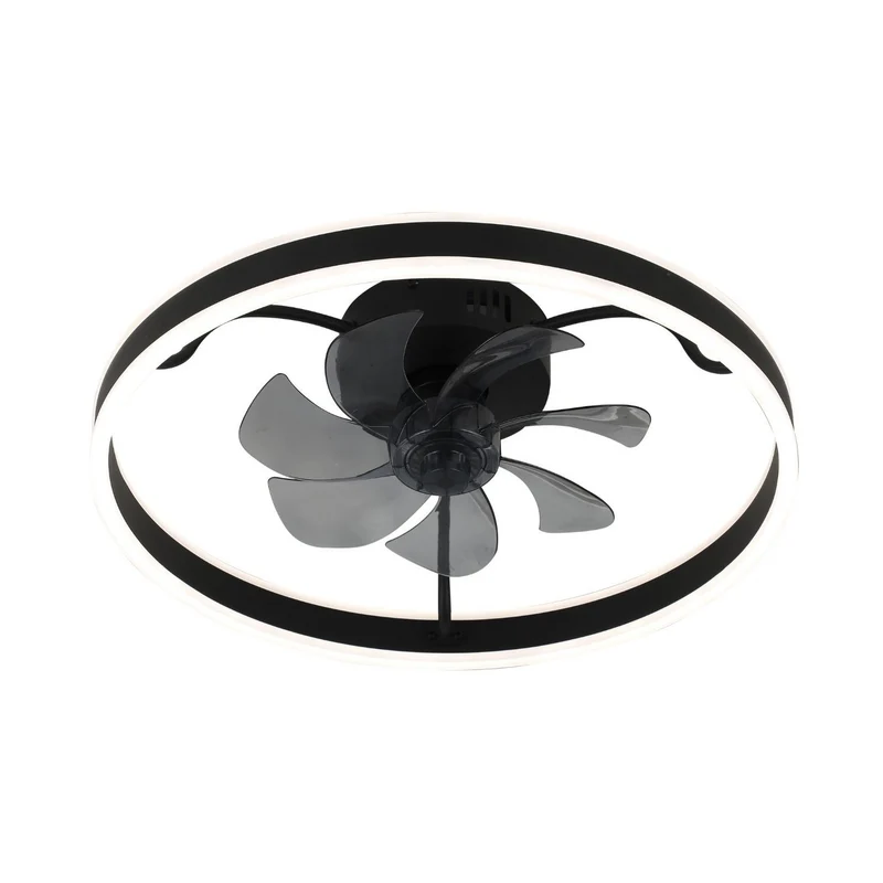 Rabalux ceiling lamp, light with fan, 40W, black, Fanfy