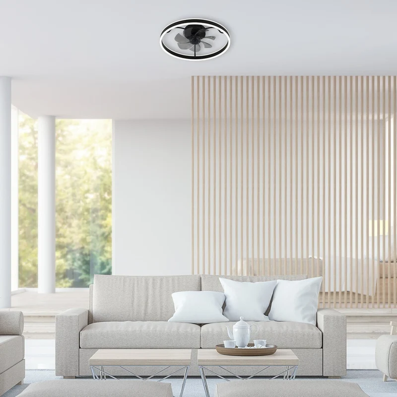 Rabalux ceiling lamp, light with fan, 40W, black, Fanfy